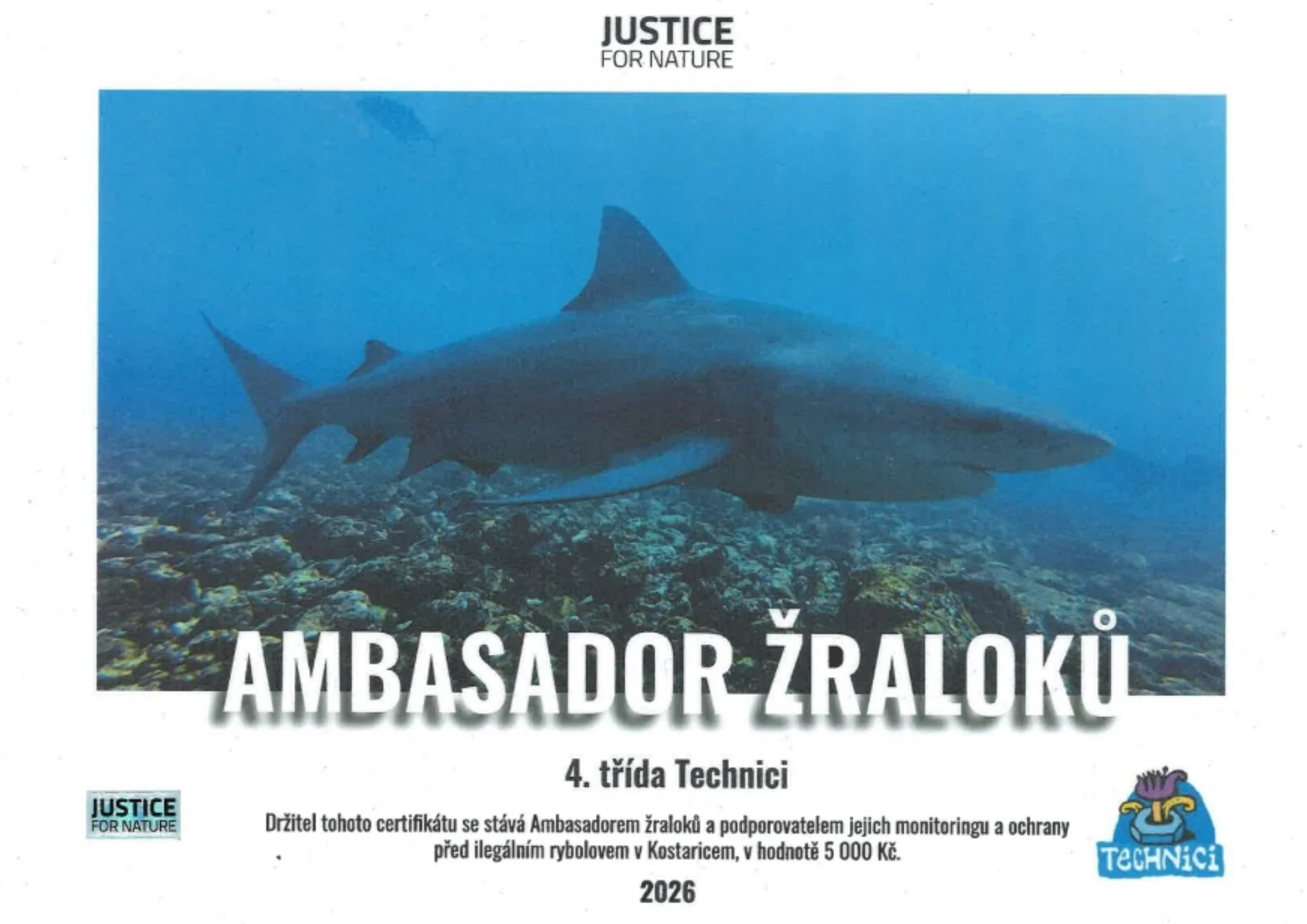 Certifikát Ambasador žraloků - 4. třída